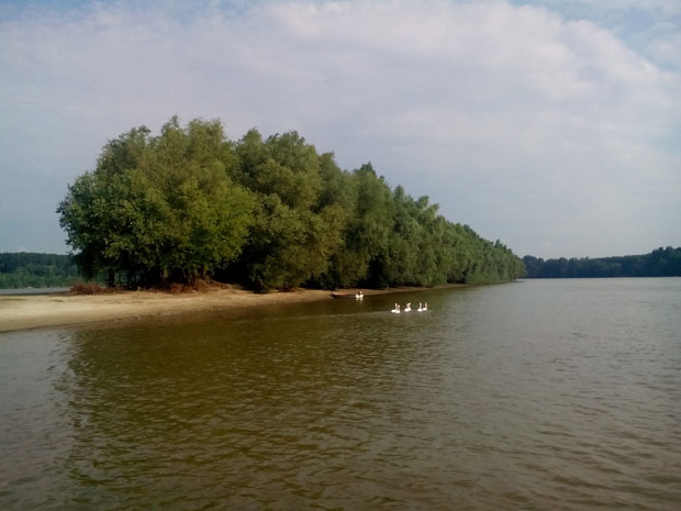 Војвођански Малдиви на плавом Дунаву